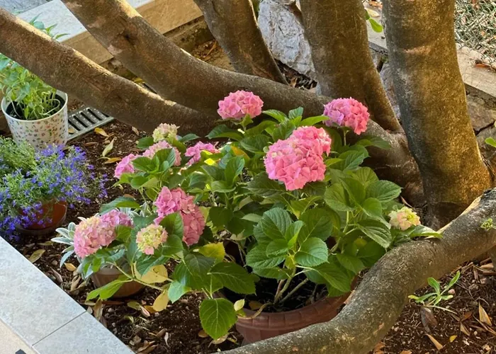 Lory Διαμέρισμα